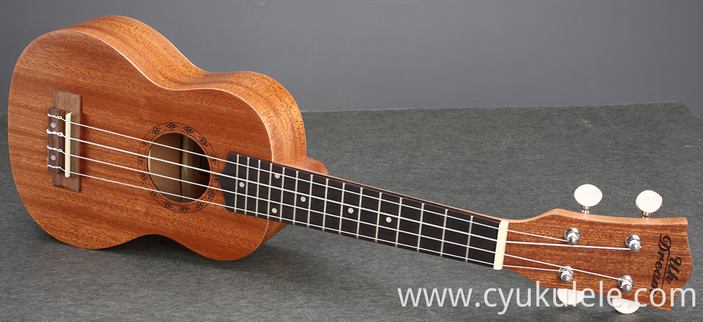 ukulele19
